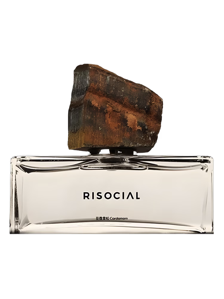 Risocial 在野南杂 Cardamom 豆蔻雪松