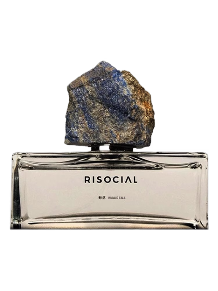Risocial 在野南杂 Whale Fall 鲸落
