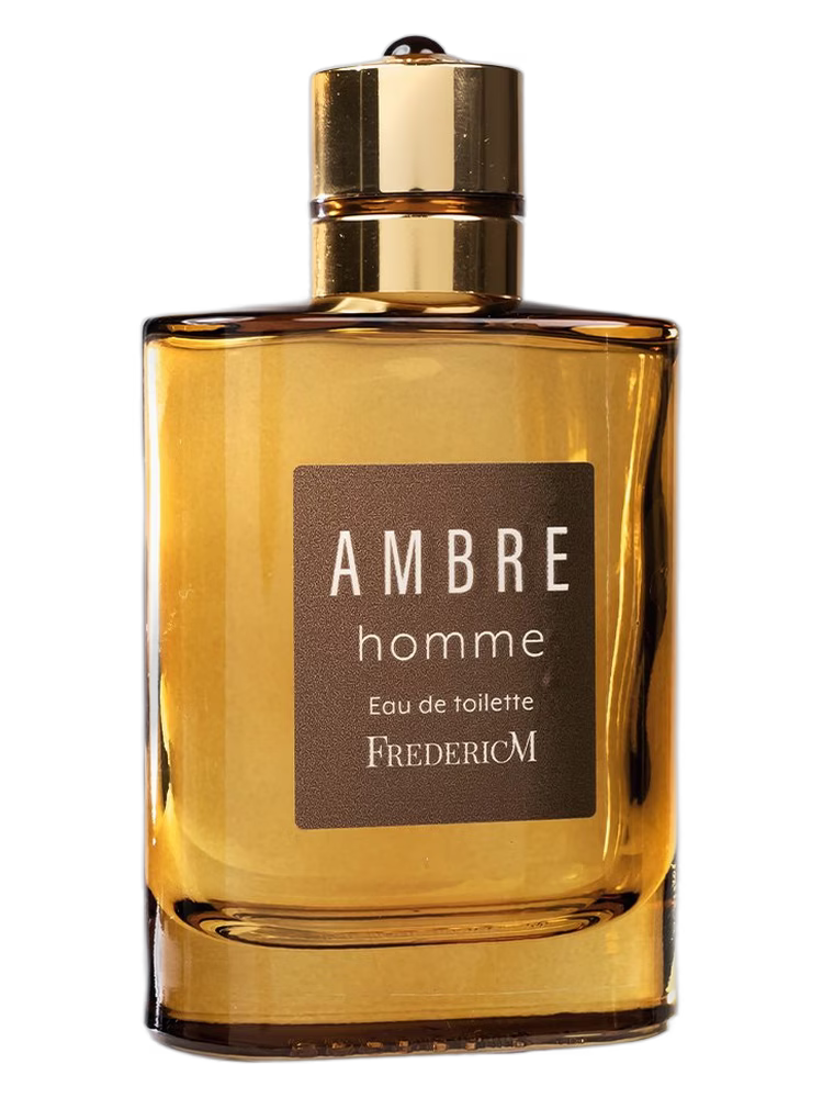 Frederic M Ambre