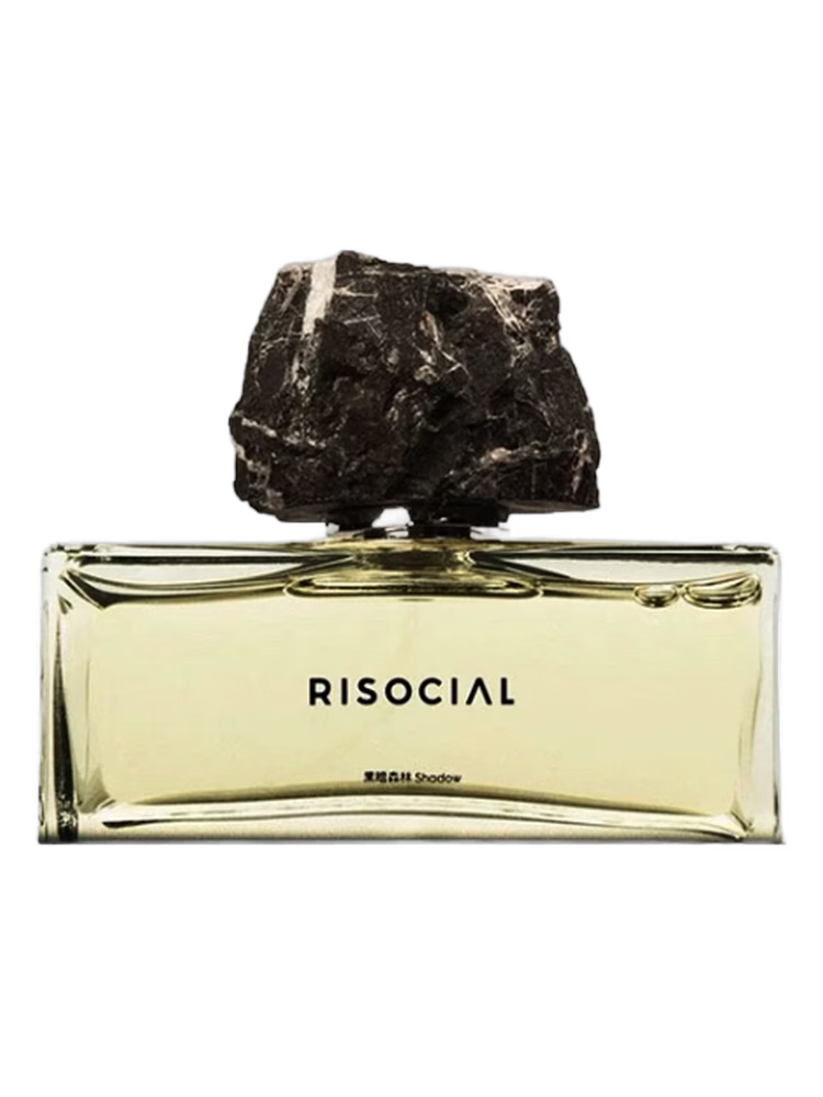 Risocial 在野南杂 Shadow 黑暗森林