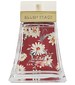perfume Classic Red Floral