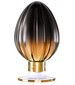 parfém Amber Ghost