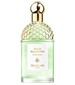 parfém Aqua Allegoria Rosa Verde