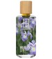 perfume Iris Delicacy