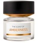 parfém Amberness