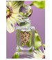 parfém Passiflora