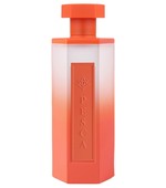 Reef Perfumes Perfumes And Colognes