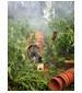 parfém Sweet Clover & Wood Smoke
