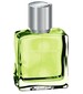 parfém Liquid Lime
