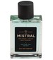 parfém Salted Gin