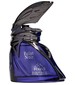 perfume Eclat Noir
