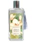 perfume Acqua di Magnolia