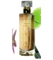 perfume Agave Mexica