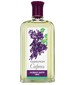 parfém Сирень (Lilac)