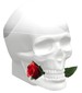 parfém Ed Hardy Skulls & Roses for Her