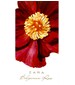parfém Bulgarian Rose