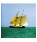 parfém Sea Wood