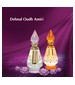 parfém Dehnal Oudh Amiri