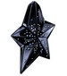 parfém Angel Black Brilliant Star