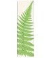 parfém Forest Lily