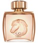 parfém Lalique Pour Homme Equus