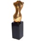 parfém Sculptura