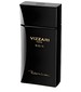 perfume Vizzari Noir