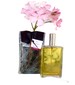 parfém Patchouli