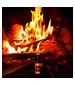 parfém Fires in the Night