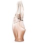 parfém Cashmere Aura