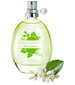 parfém Scent Essence - Lime Verbena​ 