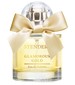 parfém Glamorous Gold