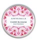 parfém Cherry Blossom