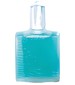 parfém Sudrabotais Ledus Blue