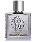 parfém Roberto Cavalli Uomo Silver Essence