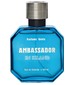 Ambassador in Island