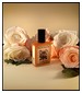 parfém Rose Mallow Cream