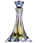 parfém Rose Musk