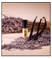 parfém Lavender Vanilla