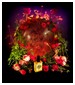 parfém Orient Rose