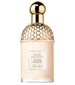 parfém Aqua Allegoria Ginger Piccante