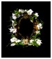 parfém Flowers Nocturnal