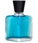 perfume Blue Water