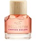 parfém Hollister Canyon Escape Woman
