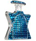 parfém Dubai Blue Diamond