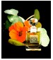 parfém Eau de Trianon (The Perfumed Court; Natural)