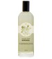 parfém Moringa