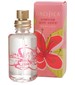 Hawaiian Ruby Guava