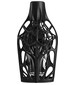 parfém Carbon Reign Eau de Parfum