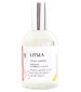 Litsea